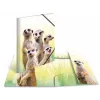 Konventionelle Sammelmappe HERMA Erdmännchen-Clique