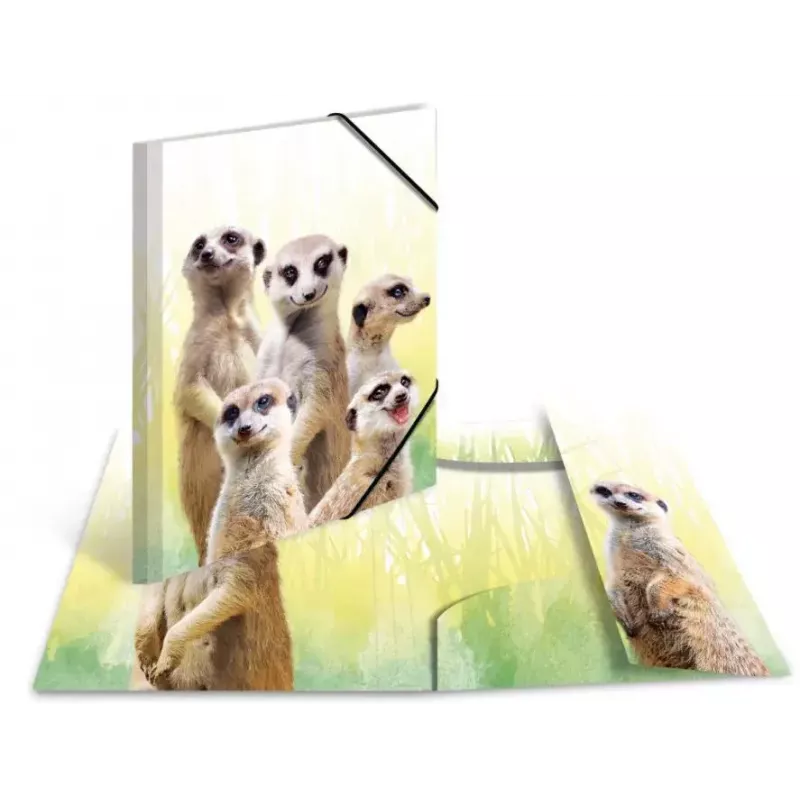 Konventionelle Sammelmappe HERMA Erdmännchen-Clique