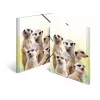 Konventionelle Sammelmappe HERMA Erdmännchen-Clique