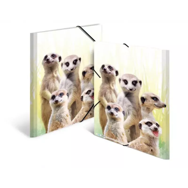 Konventionelle Sammelmappe HERMA Erdmännchen-Clique