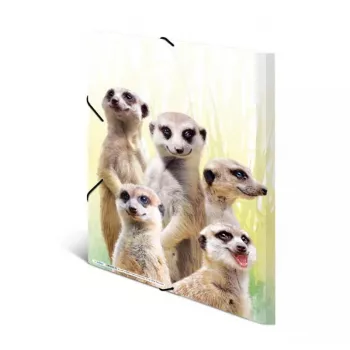 Konventionelle Sammelmappe HERMA Erdmännchen-Clique