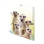 Konventionelle Sammelmappe HERMA Erdmännchen-Clique