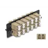 DeLOCK Glasfaser-Adapterplatte LC Duplex OM1 OM2 12 Port Beige
