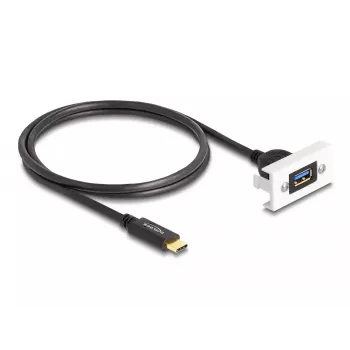 DeLOCK Easy 45 Module SuperSpeed USB 10 Gbps USB Type-A-Buchse zu USB Type-C-Stecker