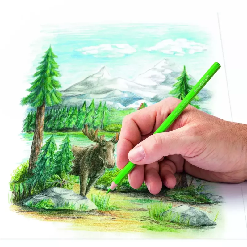 Buntstifte Staedtler 146C Mehrfarbig 72 Stück