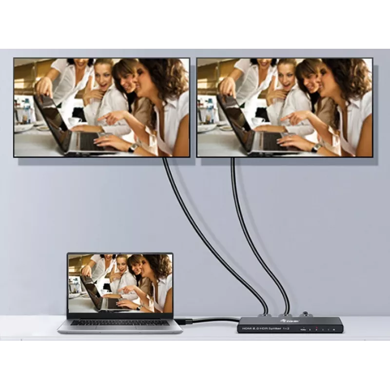 Equip Ultra schlank 2-Port HDMI 2.0 Splitter
