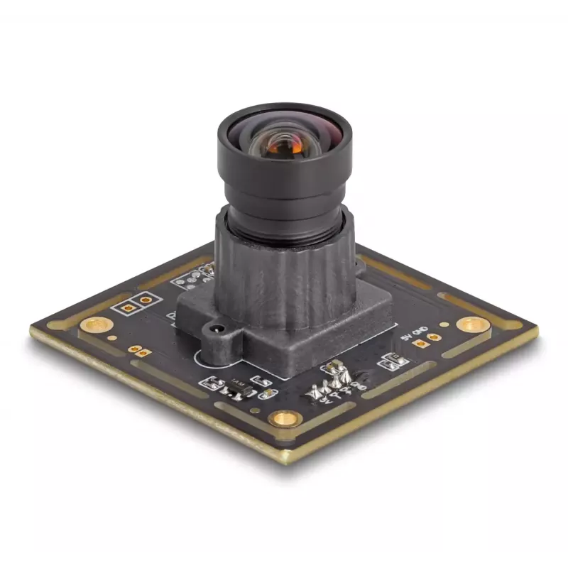 Webcam DeLOCK 12072 2,1 MP 1920 x 1080 USB 2.0 Schwarz
