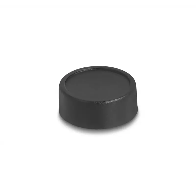 DeLOCK Webcam 12074 2,1 MP 1920 x 1080 USB 2.0 Schwarz
