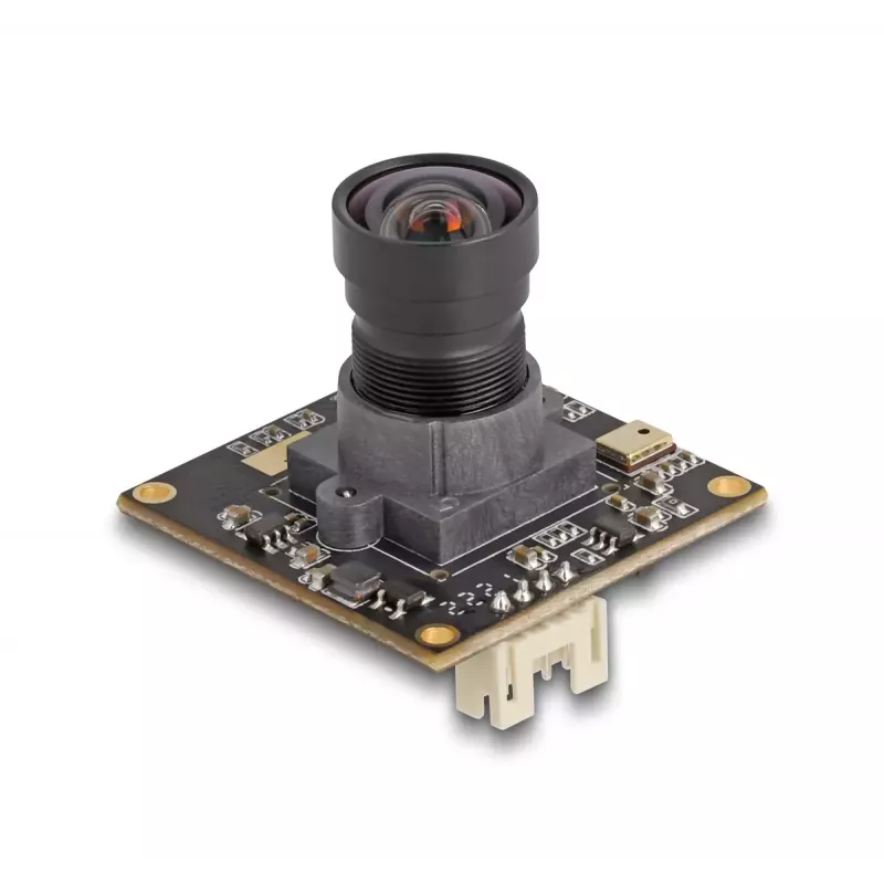 DeLOCK Webcam 12074 2,1 MP 1920 x 1080 USB 2.0 Schwarz