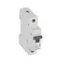 Legrand RX3 Leitungsschutzschalter, Leitungsschutzschalter, Typ B, 1