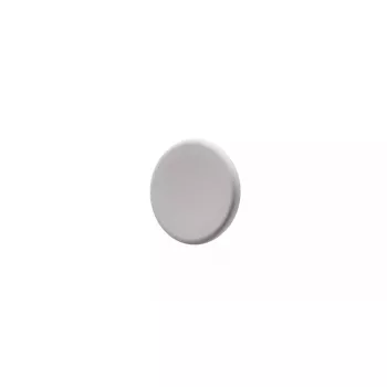 Magnet für Glastafel Legamaster warmgrau, Metall, 30×7 mm, 5er-Pack