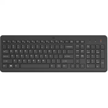 HP Wireless mit 2.4 Tastatur Home RF Wireless Schwarz