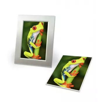 Fotopapier Avery C2549-20P Hochglanz