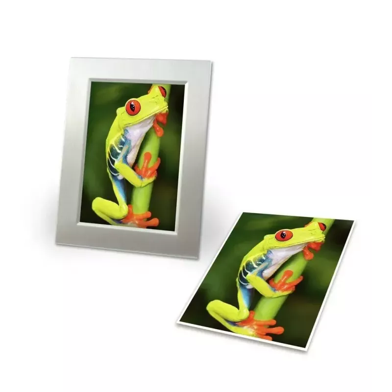 Fotopapier Avery C2549-20P Hochglanz
