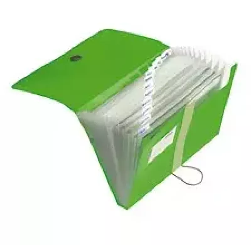 Ordner Herlitz 11209517 Grün