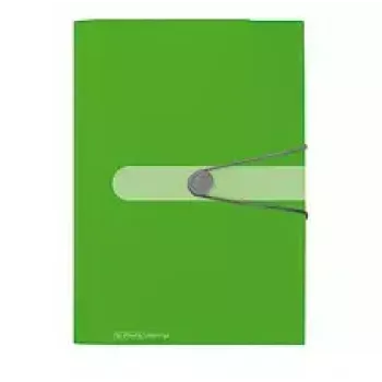 Ordner Herlitz 11209517 Grün