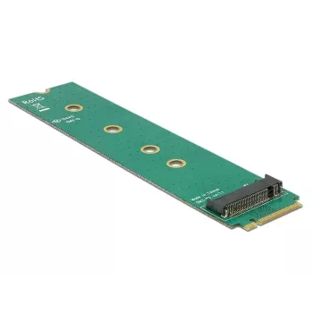 Interner M.2 Adapter DeLOCK 65699