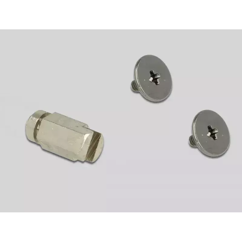 Interner M.2 Adapter DeLOCK 65699