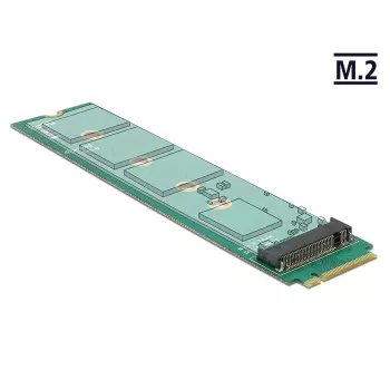 Interner M.2 Adapter DeLOCK 65699