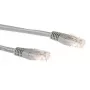 ACT Grau 0,25 Meter LSZH U/UTP CAT6A Patchkabel mit RJ45-Steckern