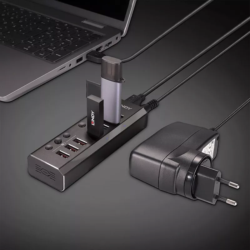 Lindy 4 Port USB 3.0 Hub mit 3 Quick Charge 3.0 Anschlüssen
