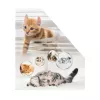 Zeitschriftensammler HERMA Stehsammler Katzen A4 Gelb