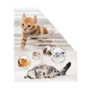 Zeitschriftensammler HERMA Stehsammler Katzen A4 Gelb