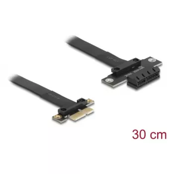 Delock 81297 PCI Express x1 Riser-Karten-Verlängerungskabel 30 cm