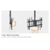 Deckenhalterung für zwei Bildschirme EQUIP 81,3 cm – 152,4 cm (32 inch–60 inch) (VESA 200x200–600x400, max. 80 kg, schwenkbar ±180°), schwarz