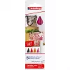 Felt pens Edding 4600 set — 5 colours (Schwarz, Crimson, Orange, Pink, Red), bullet tip