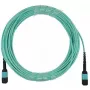 Glasfaserkabel BlueOptics CBX-STC012BPF-MXXN-MXXN-020M-MTP OM4 20m Türkis