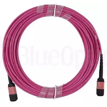 Glasfaserkabel BlueOptics CBX-STC012BPF-MXXN-MXXN-001M-BO MTP OM4 1 m Pink