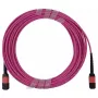 Glasfaserkabel BlueOptics CBX-STC012BPF-MXXN-MXXN-003M-BO MTP OM4 3 m Pink