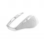 Trust Nito Maus Universal Rechtshänder RF Wireless Optisch 2200 DPI