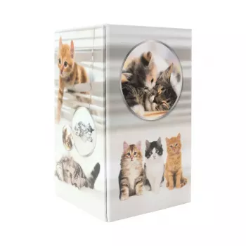 Stiftehalter HERMA 19733 Cat Design stilvoll und funktional