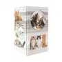Stiftehalter HERMA 19733 Cat Design stilvoll und funktional