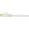 Netzwerkkabel Renkforce RF-4149858 0,25 m Cat6a S/FTP Grau