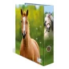 Ringbuch A4 Herma 20097 — Aufbewahrungsordner aus Karton, A4-Format, Einzelpack
