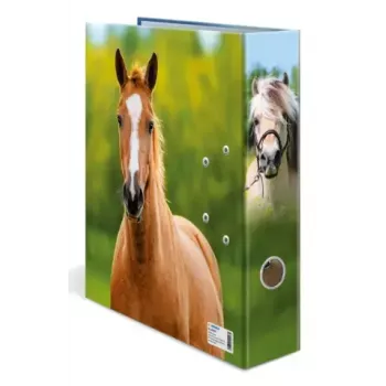 Ringbuch A4 Herma 20097 — Aufbewahrungsordner aus Karton, A4-Format, Einzelpack