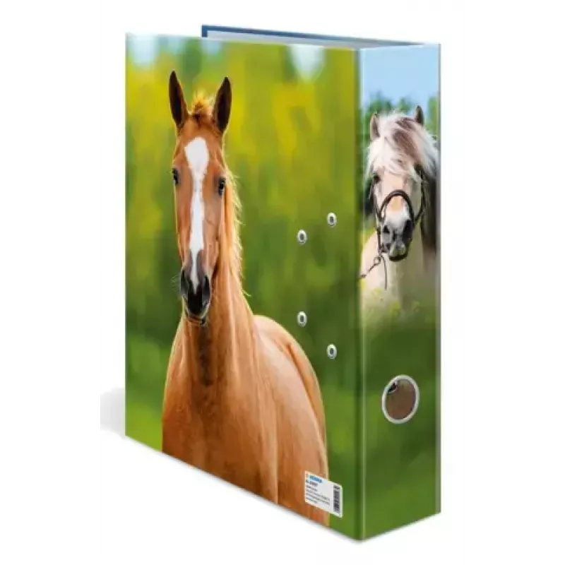 Ringbuch A4 Herma 20097 — Aufbewahrungsordner aus Karton, A4-Format, Einzelpack