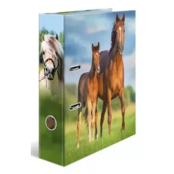 Ringbuch A4 Herma 20097 — Aufbewahrungsordner aus Karton, A4-Format, Einzelpack
