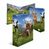 Ringbuch A4 Herma 20140, Karton, A4-Format, einzeln, mehrfarbig