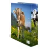 Ringbuch A4 Herma 20140, Karton, A4-Format, einzeln, mehrfarbig