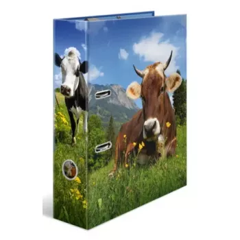 Ringbuch A4 Herma 20140, Karton, A4-Format, einzeln, mehrfarbig