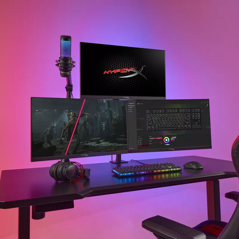 HyperX Armada 25 FHD Gaming-Monitor