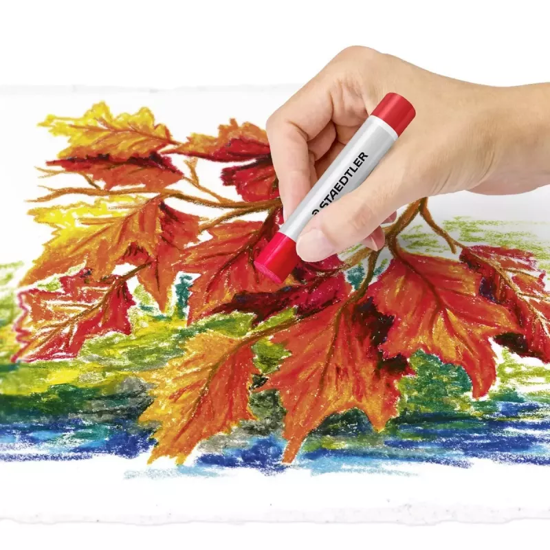Buntstifte Staedtler 2420 12 Stück