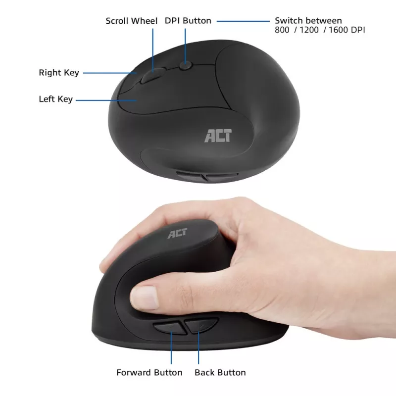 Maus ACT kabellose ergonomische Maus 1600 DPI RF kabellos