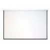 Ricoh PJ WUL5860 4000 ANSI Lumen DLP WUXGA (1920x1200) Weiß