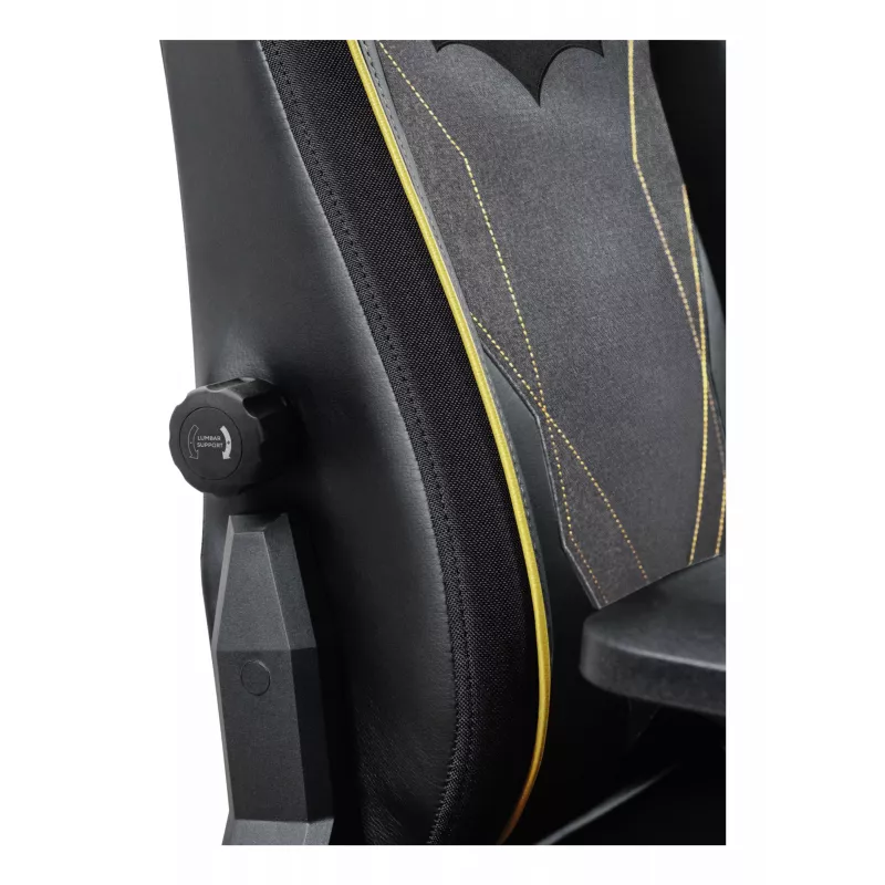 PC-Gaming-Stuhl TRUST 25787 – gepolsterte Sitzfläche, max. Belastung 150 kg, 710×750 mm, Höhe bis 134 cm, schwarz