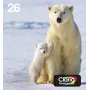 Epson Polar bear Multipack 4-farbig 26 EasyMail, Standardertrag, Schwarz, Cyan, Magenta, Gelb, Pigmenttinte, Farbstofftinte, 6,2 ml, 4,5 ml